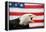 Bald Eagle Squawking with American Flag-W. Perry Conway-Framed Premier Image Canvas