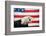 Bald Eagle Squawking with American Flag-W. Perry Conway-Framed Photographic Print