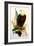 Bald Eagle with Flag-American School-Framed Giclee Print