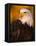 Bald Eagle-W^ Perry Conway-Framed Premier Image Canvas