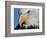 Bald Eagle-W. Perry Conway-Framed Photographic Print