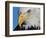 Bald Eagle-W. Perry Conway-Framed Photographic Print