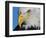 Bald Eagle-W. Perry Conway-Framed Photographic Print