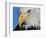 Bald Eagle-W. Perry Conway-Framed Photographic Print