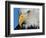 Bald Eagle-W. Perry Conway-Framed Photographic Print