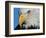 Bald Eagle-W. Perry Conway-Framed Photographic Print