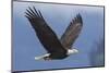 Bald Eagle-Ken Archer-Mounted Photographic Print