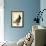 Bald Eagle-John James Audubon-Framed Art Print displayed on a wall