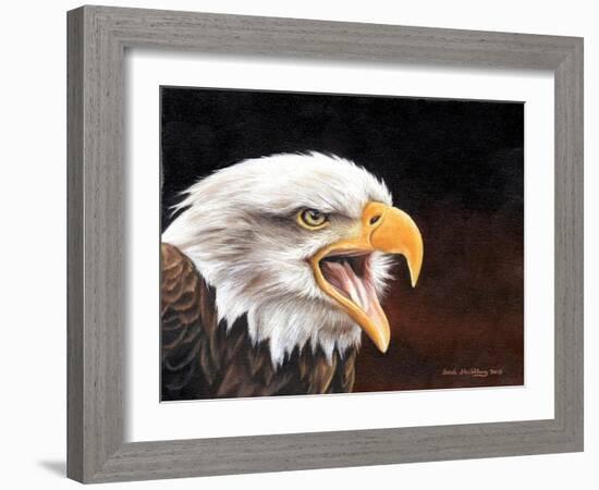 Bald Eagle-Sarah Stribbling-Framed Art Print