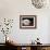 Bald Eagle-Sarah Stribbling-Framed Art Print displayed on a wall