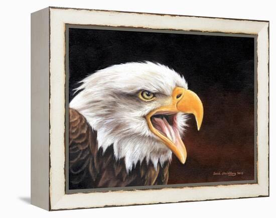 Bald Eagle-Sarah Stribbling-Framed Stretched Canvas