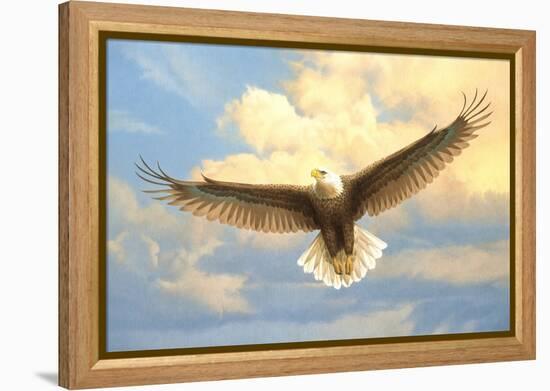 Bald Eagle-Joh Naito-Framed Premier Image Canvas