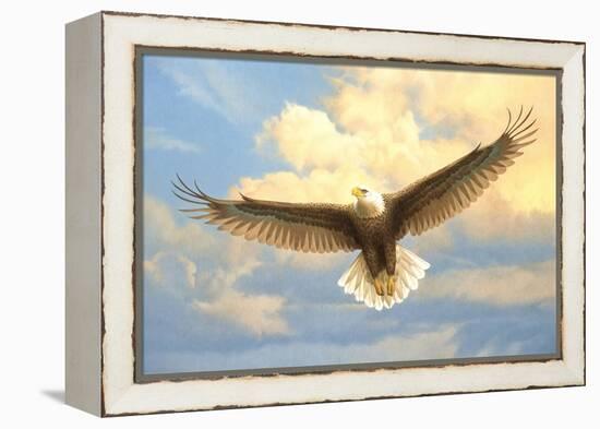 Bald Eagle-Joh Naito-Framed Premier Image Canvas