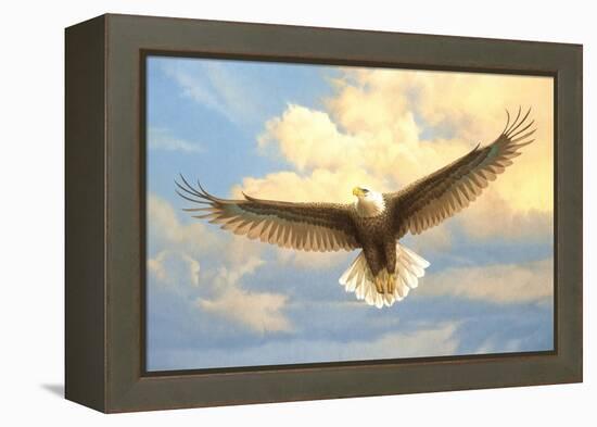 Bald Eagle-Joh Naito-Framed Premier Image Canvas