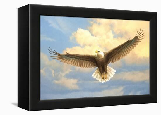 Bald Eagle-Joh Naito-Framed Premier Image Canvas