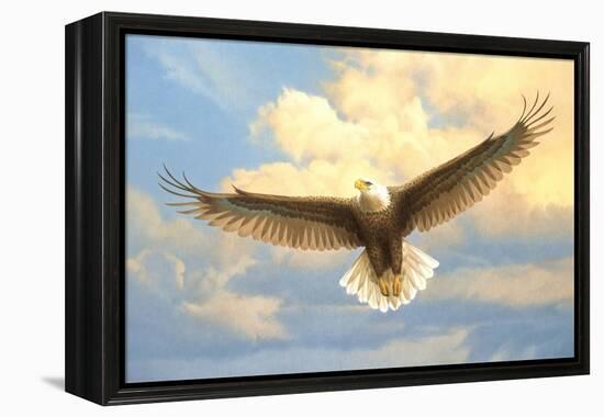 Bald Eagle-Joh Naito-Framed Premier Image Canvas