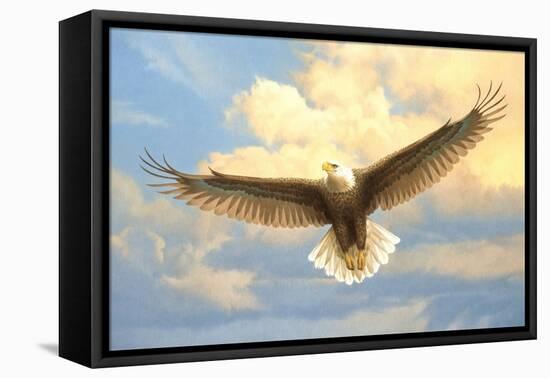 Bald Eagle-Joh Naito-Framed Premier Image Canvas