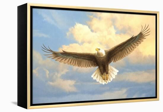Bald Eagle-Joh Naito-Framed Premier Image Canvas