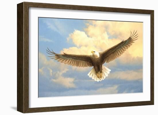 Bald Eagle-Joh Naito-Framed Giclee Print