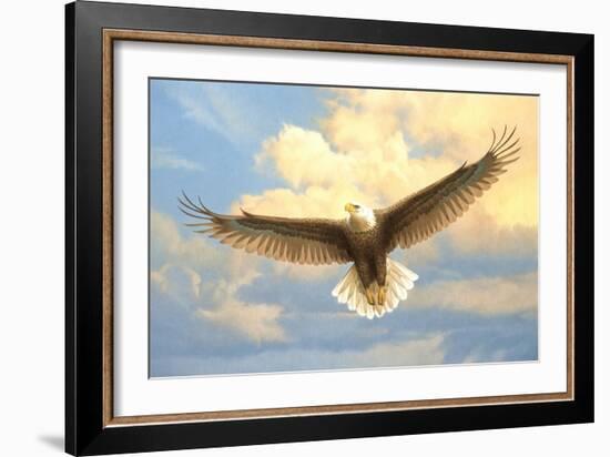 Bald Eagle-Joh Naito-Framed Giclee Print