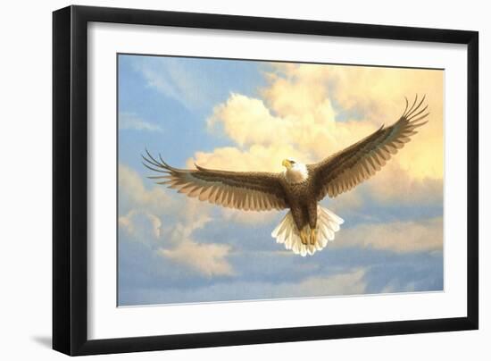 Bald Eagle-Joh Naito-Framed Giclee Print