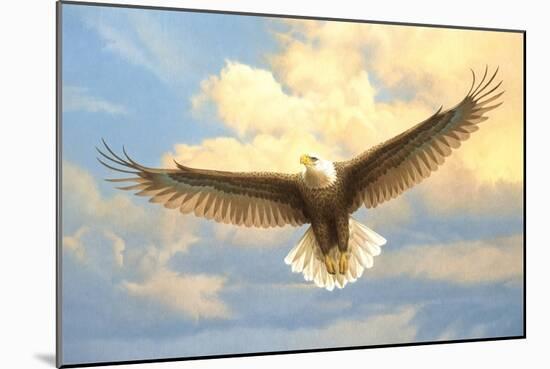 Bald Eagle-Joh Naito-Mounted Giclee Print