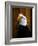 Bald Eagle-Clive Branson-Framed Photo