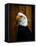 Bald Eagle-Clive Branson-Framed Stretched Canvas