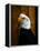 Bald Eagle-Clive Branson-Framed Stretched Canvas