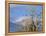 Bald Eagles in the Bitterroot Valley near Hamilton, Montana, USA-Chuck Haney-Framed Premier Image Canvas