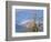 Bald Eagles in the Bitterroot Valley near Hamilton, Montana, USA-Chuck Haney-Framed Photographic Print