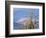 Bald Eagles in the Bitterroot Valley near Hamilton, Montana, USA-Chuck Haney-Framed Photographic Print