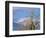 Bald Eagles in the Bitterroot Valley near Hamilton, Montana, USA-Chuck Haney-Framed Photographic Print