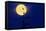Bald Eagles Silhouetted Against a Full Moon-David Nunuk-Framed Premier Image Canvas