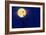 Bald Eagles Silhouetted Against a Full Moon-David Nunuk-Framed Photographic Print