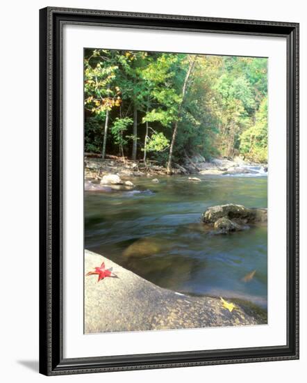 Bald River, Cherokee National Forest, Tennessee, USA-Rob Tilley-Framed Photographic Print