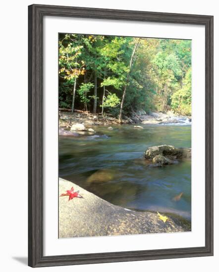 Bald River, Cherokee National Forest, Tennessee, USA-Rob Tilley-Framed Photographic Print