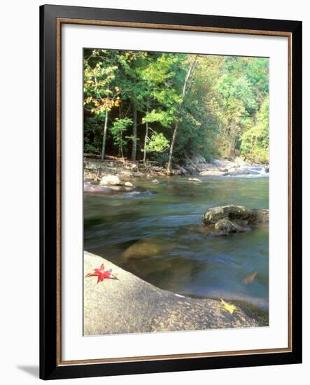 Bald River, Cherokee National Forest, Tennessee, USA-Rob Tilley-Framed Photographic Print