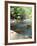 Bald River, Cherokee National Forest, Tennessee, USA-Rob Tilley-Framed Photographic Print