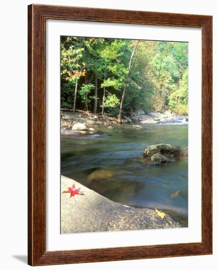 Bald River, Cherokee National Forest, Tennessee, USA-Rob Tilley-Framed Photographic Print