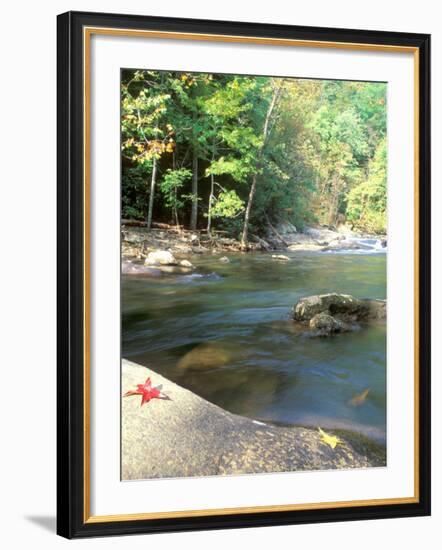 Bald River, Cherokee National Forest, Tennessee, USA-Rob Tilley-Framed Photographic Print