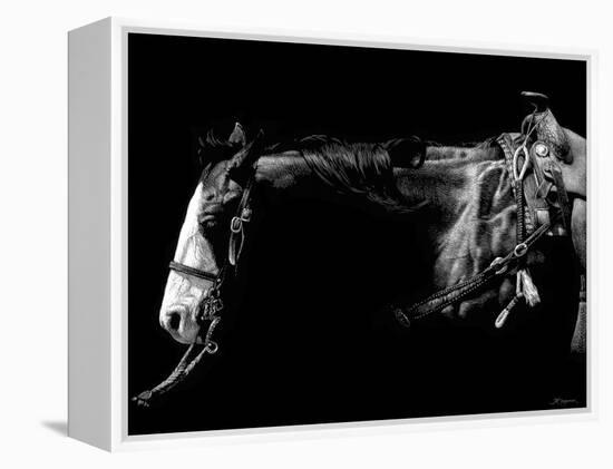 Baldfaced Bulldogger-Julie Chapman-Framed Stretched Canvas