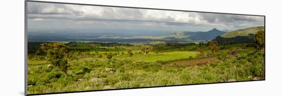 Bale Mountains National Park. Ethiopia.-Roger De La Harpe-Mounted Photographic Print