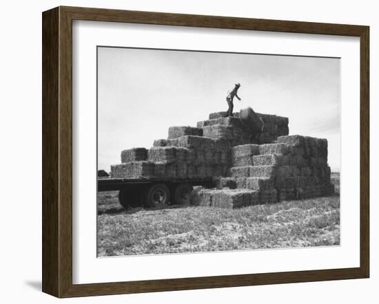 Baled Alfalfa in Large Stacks on Truck and on Ground in Imperial Valley-Hansel Mieth-Framed Photographic Print