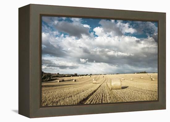 Baled Field, Gloucestershire, England, United Kingdom, Europe-John Alexander-Framed Premier Image Canvas