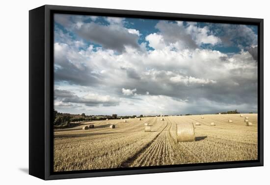 Baled Field, Gloucestershire, England, United Kingdom, Europe-John Alexander-Framed Premier Image Canvas