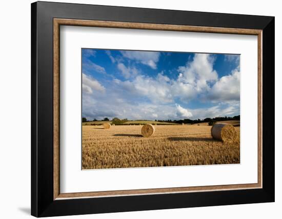 Baled Field, Gloucestershire, England, United Kingdom, Europe-John Alexander-Framed Photographic Print