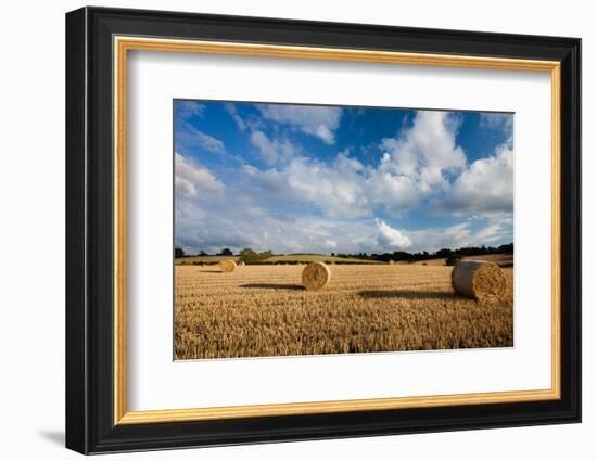 Baled Field, Gloucestershire, England, United Kingdom, Europe-John Alexander-Framed Photographic Print