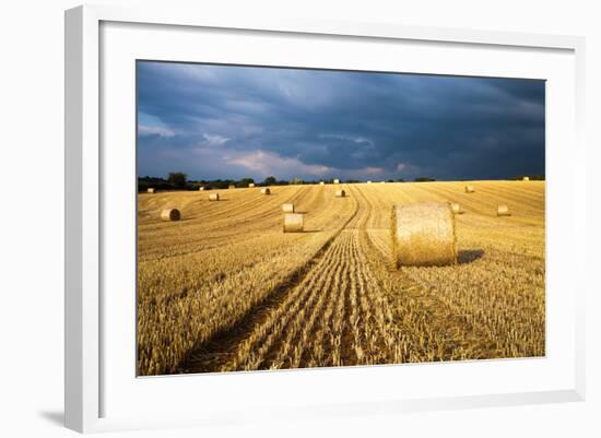 Baled Field, Gloucestershire, England, United Kingdom, Europe-John Alexander-Framed Photographic Print