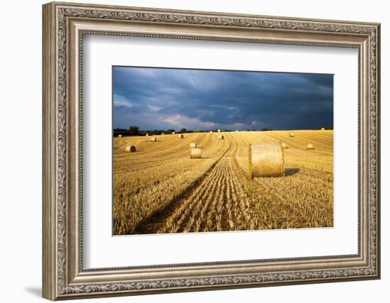 Baled Field, Gloucestershire, England, United Kingdom, Europe-John Alexander-Framed Photographic Print